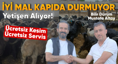 İyi mal kapıda durmuyor, Altay'dan yetişen alıyor