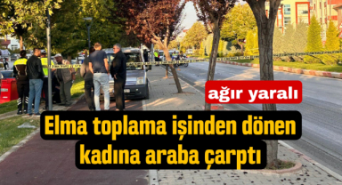 100. Yıl Caddesi'nde Trafik Kazası: Kadın Yayaya Araç Çarptı