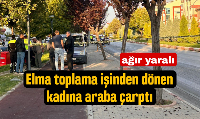 100. Yıl Caddesi'nde Trafik Kazası: Kadın Yayaya Araç Çarptı