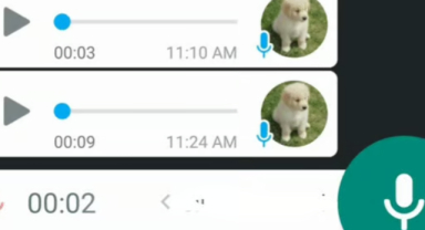 Android ve iOS İçin WhatsApp Ses Kaydı İndirme