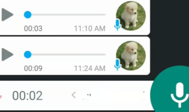 Android ve iOS İçin WhatsApp Ses Kaydı İndirme