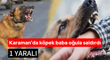 Karaman’da 2 kişiye köpek saldırdı: 1 yaralı