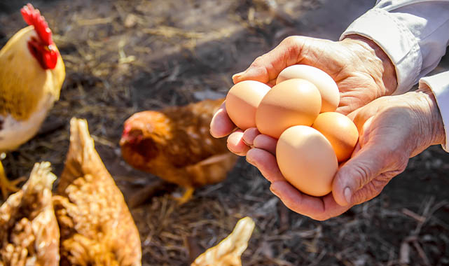 Yük Hafifledi, Güç Arttı