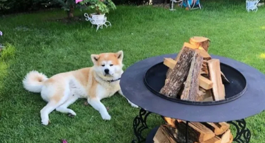 Ateş Çukurları – Bahçe Şömineleri ile Bahçenizde Sıcak Bir Atmosfer