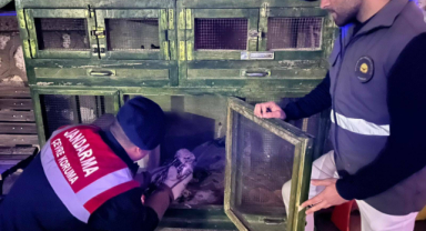 KARAMAN’IN DOĞAL HAYATI GÜVENLİ ELLERDE