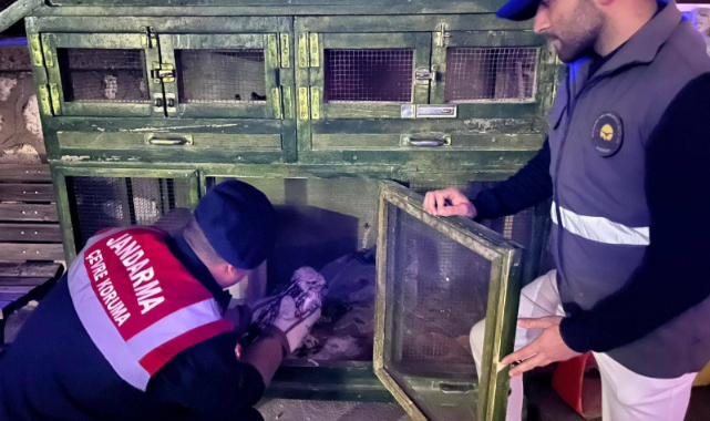 KARAMAN’IN DOĞAL HAYATI GÜVENLİ ELLERDE