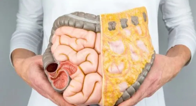 Rektum Kanseri: Belirtileri, Nedenleri ve Tedavi Sürecine İnsan Gözünden Bir Bakış