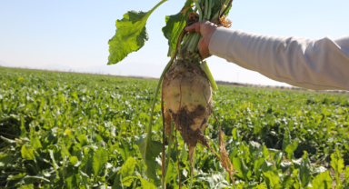 Dev Ödeme Piyasaya Hareket Getirecek