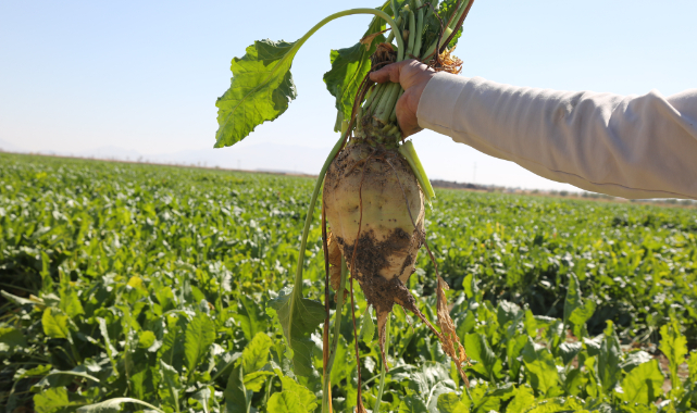Dev Ödeme Piyasaya Hareket Getirecek