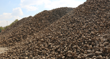 Konya Şeker, 2025–2026 Sezonunu Güçlü Rakamlarla Kapattı