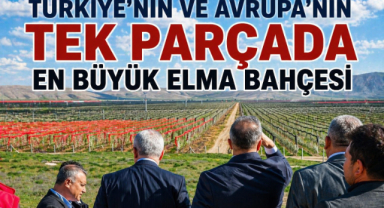 Türkiye’nin ve Avrupa’nın tek parçada en büyük elma bahçesi