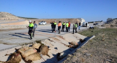 koyun sürüsüne dalan iki motosikletteki 3 kişi yaraladı